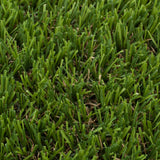Shenwich 30mm Artificial Grass