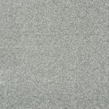 Silver 07 Promenade Carpet