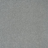 Silver 152 Imagination Twist Carpet