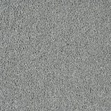 Silver 152 Imagination Twist Carpet