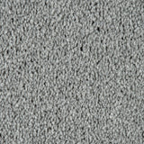 Silver 152 Imagination Twist Carpet
