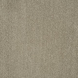 Stone Beige 72 Emotion Elite Intenza Carpet