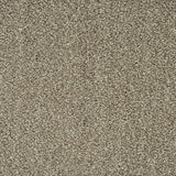 Stone Beige 72 Emotion Elite Intenza Carpet
