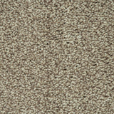 Stone Beige 72 Emotion Elite Intenza Carpet
