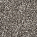 Stone Grey Vision Luxury Saxony Actionback Carpet