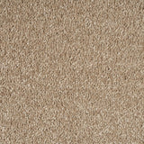 Suede 34 Bellaire Carpet