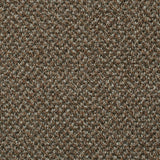 Treviot 42 Stainaway Tweed Carpet