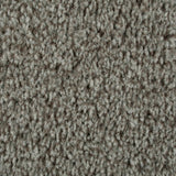 Walnut 964 Dublin Heathers Carpet