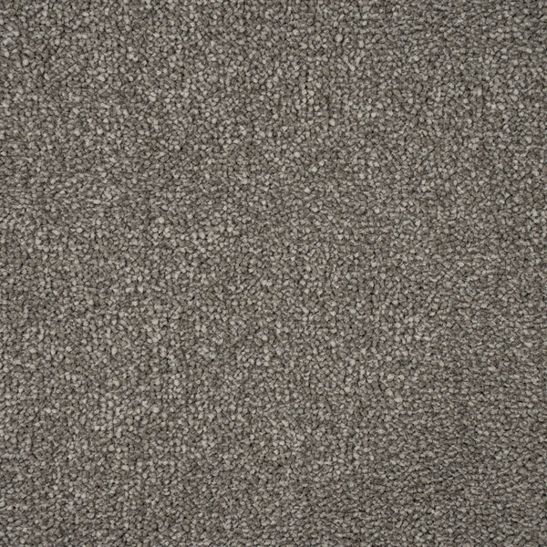 Warm Grey 77 Emotion Classic Intenza Carpet
