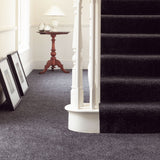 Stainfree Majesty Carpet