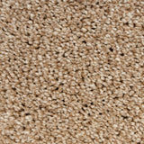 Acacia 34 Pegasus 70oz Heathers Invictus Carpet
