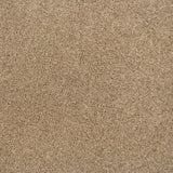 Acacia 34 Pegasus 70oz Heathers Invictus Carpet