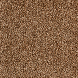 Antique Brass 42 Inspire Saxony Carpet