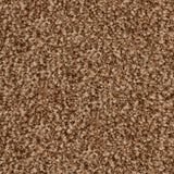 Antique Brass 42 Inspire Saxony Carpet