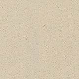 Antique White 03 Orion 50oz Invictus Carpet