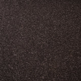 Pewter Stainfree Arena Carpet