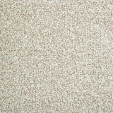 StainFree Arena Carpet