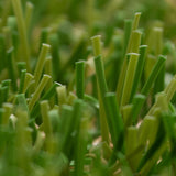 Arizona 26mm Artificial Grass