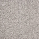 Aspen Silver 09 Stainaway Ultra Carpet