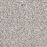 Aspen Silver 09 Stainaway Ultra Carpet