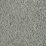 Atlantic Seal Sensation Original 60oz Carpet by Cormar