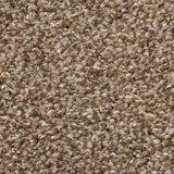 Brown Avalon Saxony Actionback Carpet