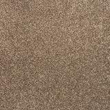 Brown Avalon Saxony Actionback Carpet