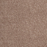 Barley 34 Distinction Supreme Carpet