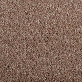 Barley 34 Distinction Supreme Carpet