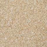 Beach 31 Promenade FusionBac Carpet