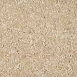 Beach 31 Sophistication Supreme FusionBac Carpet