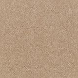 Beach Beige Apollo Plus Carpet by Cormar