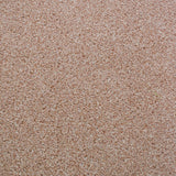 Beige 330 Dublin Heather Carpet Clearance