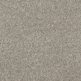 Beige Grey 179 Revolution Carpet