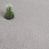 Grey Belton Feltback Twist Carpet