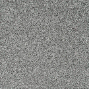 Bergen Frost Sensation Heathers 60oz Carpet