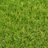 Birchcove 37mm Artificial Grass