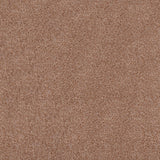 Biscuit 918 Dublin Heathers Carpet