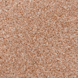 Biscuit 918 Easy Living Carpet