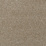 Biscuit 92 Serano Elite Intenza Carpet