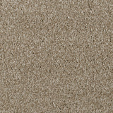 Biscuit 92 Serano Elite Intenza Carpet