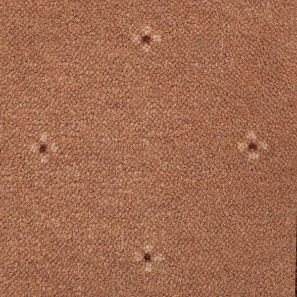 Biscuit Beige 38 Solo Carpet