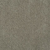Bone 293 Revolution Soft Heathers Intenza Carpet