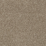 Brown 68 Hudson Carpet
