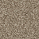 Brown 68 Hudson Carpet