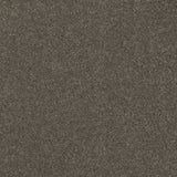 Carbon 79 Ultimate Twist Intenza Carpet