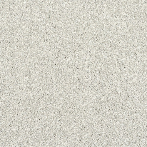 Champagne Stainfree Caress Carpet