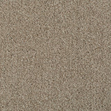 Soya 37 Cassius 70oz Heathers Invictus Carpet Clearance