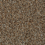 Okra 38 Cassius 70oz Heathers Invictus Carpet 4.6m x 5m Remnant