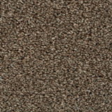 Nova 40 Cassius 70oz Heathers Invictus Carpet Clearance